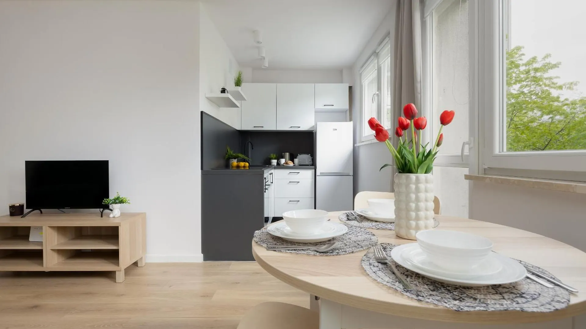 City Park Studio Apartment Solec Warsaw By Renters Poland